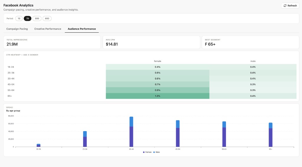 Facebook audience performance